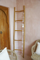 The Long Sea Shell - Hippie Monkey - Bali Lifestyle Store